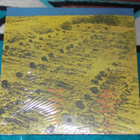 LAMA ~ s/t ~ LP Svart RE - pikkukuva 2