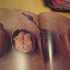 Anne Geddes - Tähän saakka - 1.painos - pikkukuva 5
