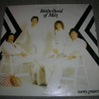 LP vinyyli Brotherhood of man: Twenty greatest - pikkukuva 1