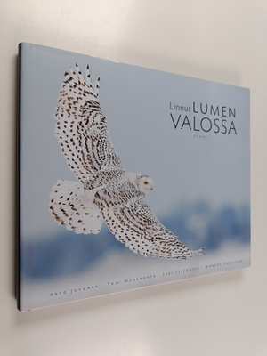 Linnut lumen valossa