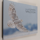 Linnut lumen valossa - pikkukuva 1