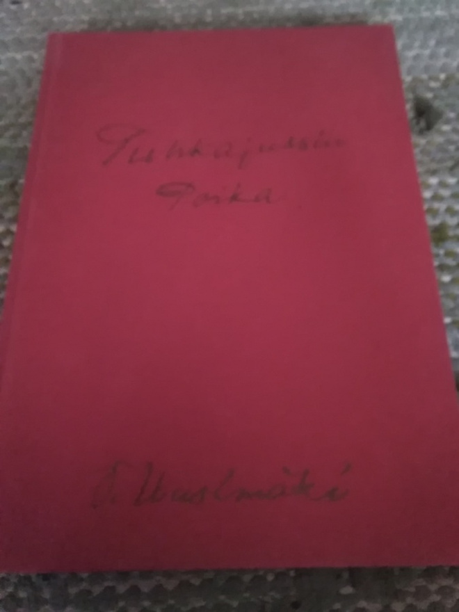 V. Uusimäki: Tuhkajussin poika