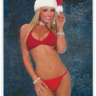 Bench Warmer 2005 Holiday Foil Tiffany Lang - pikkukuva 1