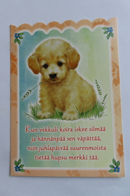 Kun vekkuli koira iskee silmää.. (Karto)