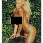 2007 Playboy Wet & Wild Series 2 #67 Heidi Hawking - pikkukuva 1