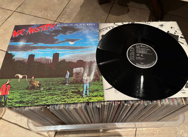 Mr. Mister - Welcome to the real world