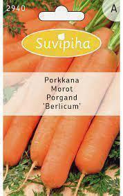 Porkkana BERLICUM siemenet #