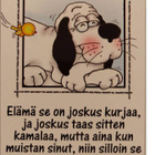 kortti ** Ansio Marleena Koira hyvällä tuulella - erilaisia - pikkukuva 2