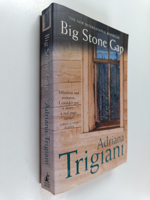 Adriana Trigiani : Big Stone Gap
