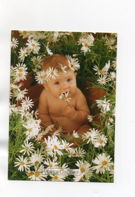 Anne Geddes °°VAUVA JA PÄIVÄNKAKKARAT°° -KORTTI