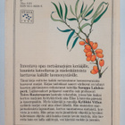 Samppa Lahdenperä : Metsän marjat - pikkukuva 2