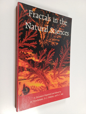 Fractals in the natural sciences : a discussion