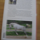 Tuire Kaimio - Hevosen kanssa - 2.p.2005 - pikkukuva 2