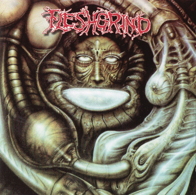 Fleshgrind (CD) VG+++!! Destined For Defilement