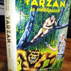 Burroughs : TARZAN ja mielipuoli ( SIS POSTIKULU) - pikkukuva 1