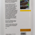 Veikko (toim.) Neuvonen : Luontoilta 3 : kysymyksiä ja va... - pikkukuva 2