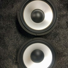 Bassokaiuttimet 10" - pikkukuva 1