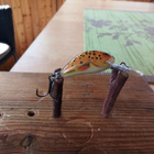 Salmo Hornet 2 - pikkukuva 1