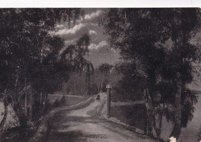 Punkaharju, wanhakortti b481
