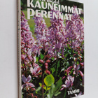 Britta Tingdal : Kauneimmat perennat - pikkukuva 1