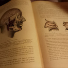RANSKANKIELINEN ANATOMIAN OPPIKIRJA - pikkukuva 3
