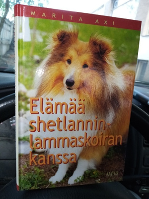 MARITA AXI : ELÄMÄÄ SHETLANNINLAMMASKOIRAN KANSSA