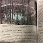 Jokamiehen geologia - pikkukuva 4