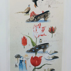 Leena Airikkala "Tulips and shoes" - pikkukuva 3