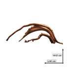 Uniikki akvaariojuurakko 61 cm | S3112623 - pikkukuva 3