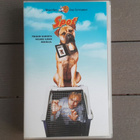 VHS: Spot / See Spot Run (David Arquette 2001) - pikkukuva 1