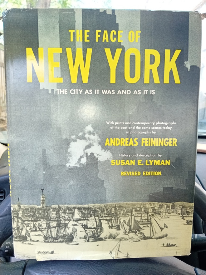 Feininger : The Face of New York ( SIS POSTIKULU  )