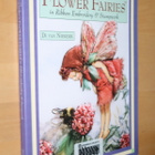 Van Niekerk : Cicely Mary Barker's Flower Fairies in Ribbon - pikkukuva 1