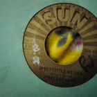 Jerry Lee Lewis sinkku - pikkukuva 1