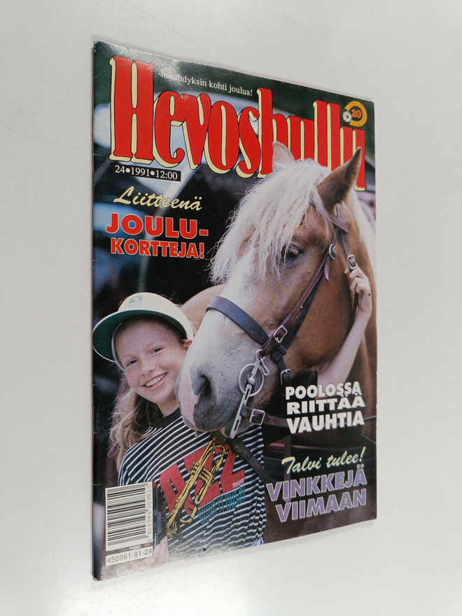 Hevoshullu 24/1991