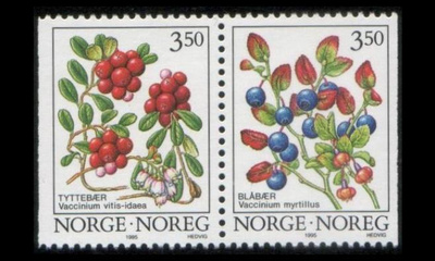 Norja 1174-5px ** Marjoja x-paperi (1995)
