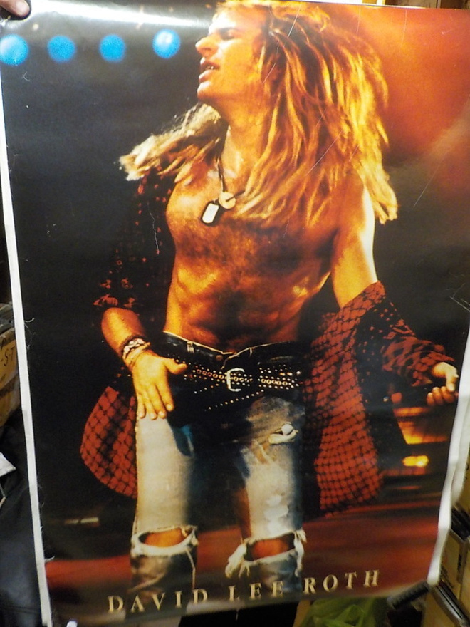 DAVID LEE ROTH MYYNTIJULISTE VUODELTA 1991 (W)