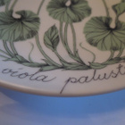 Arabia Seinälautanen, Esteri Tomula - pikkukuva 2