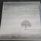 Genesis - Wind and Wuthering LP - pikkukuva 1