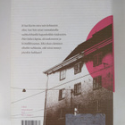 Laura Honkasalo : Tyttökerho - pikkukuva 2