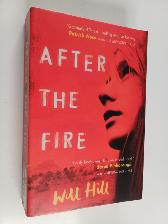 Will Hill : After the fire