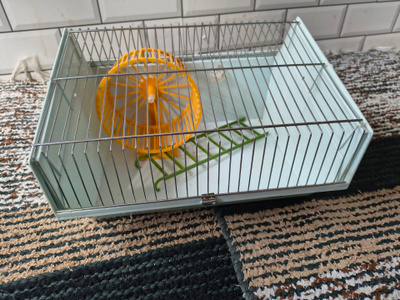 Häkki hamsterin tai hiiren