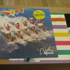Go-go's Vacation lp Hollanti 1982 Belinda Carlisle - pikkukuva 1