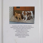 Irja Aalto : Annika, Sallan ystävä - pikkukuva 2