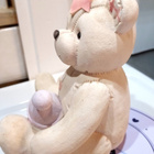 SULOINEN NALLE SÄÄSTÖLIPAS - pikkukuva 4