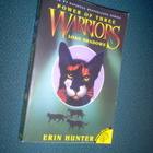 Erin Hunter: Warriors, Power of Three 5: Long Shadows - pikkukuva 1