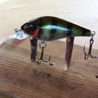 Daiwa Prorex Toddler Crank 6cm - pikkukuva 2