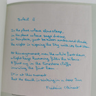 Frederic Clement : Soleil O (signeerattu) - pikkukuva 2