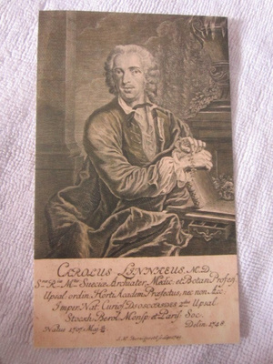 Carl von Linné 1707 - 2007