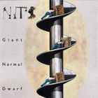 Nits – Giant Normal Dwarf - pikkukuva 1