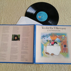 CAT STEVENS - Tea For The Tillerman LP - pikkukuva 1